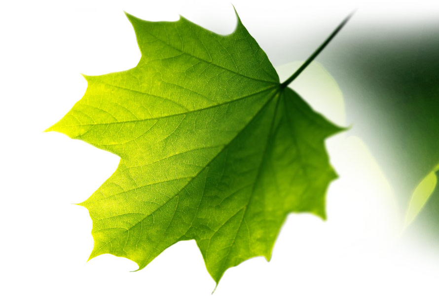 Sustainable packaging design