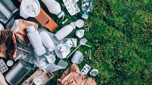 Sustainability